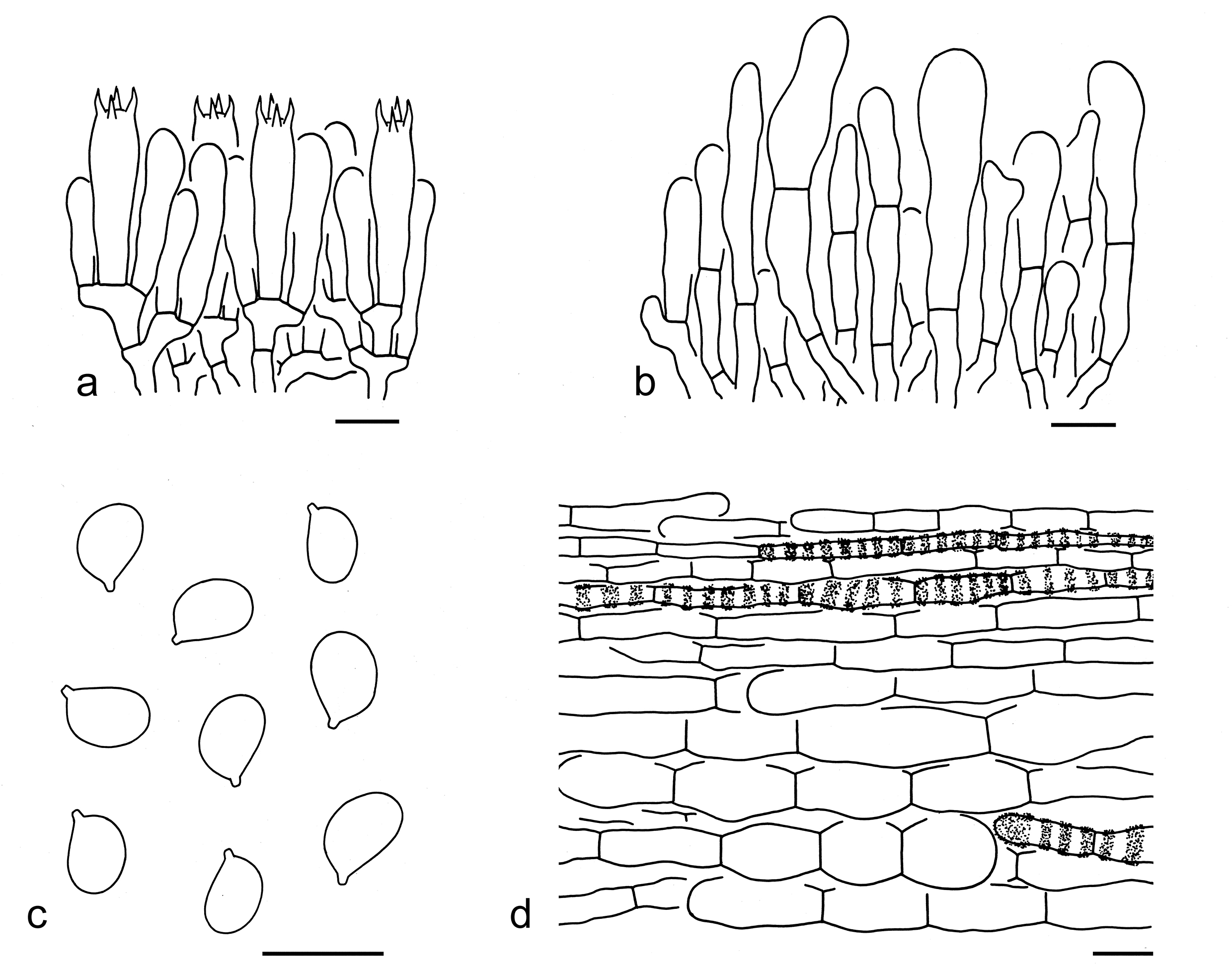 Figure 67